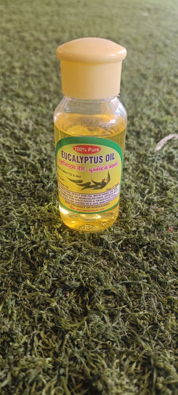 Dry Leaf Eucalyptus Oil